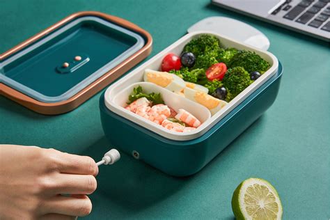 can you put electric lunch box in fridge|heated lunch box electricity.